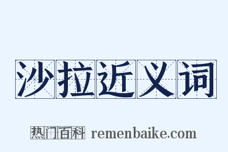 沙拉近义词是什么意思的图片